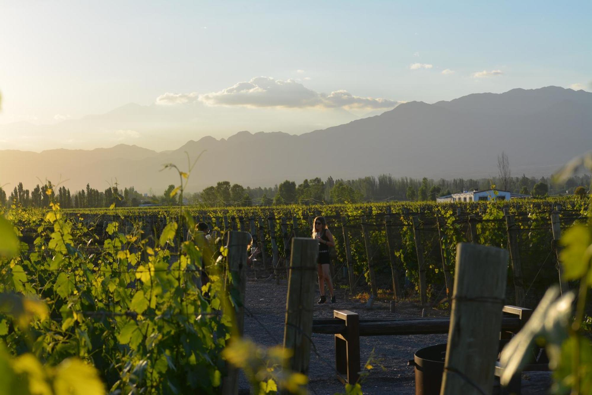 Viamonte Winery Lodge Chacras de Coria Εξωτερικό φωτογραφία