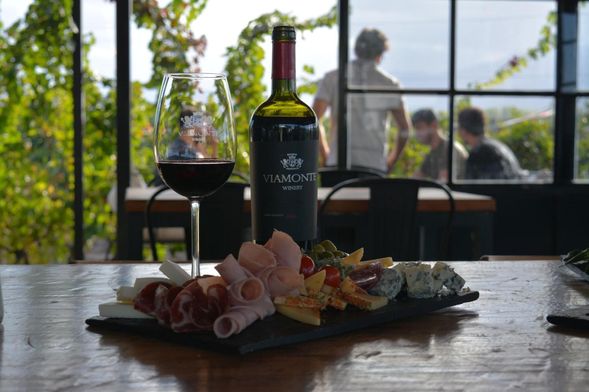 Viamonte Winery Lodge Chacras de Coria Εξωτερικό φωτογραφία